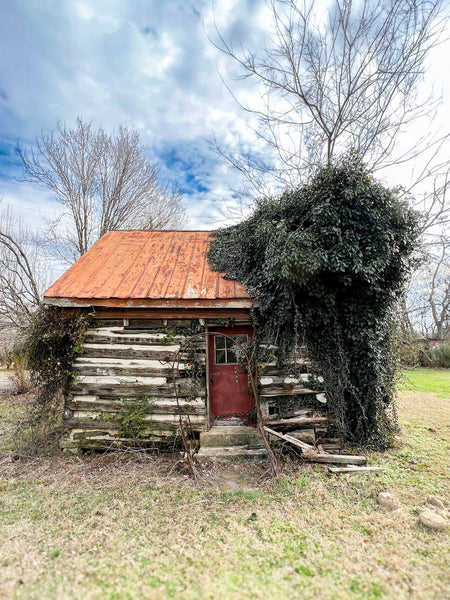 From Forgotten Cabins to a Bright New Home: The Power of Transformation